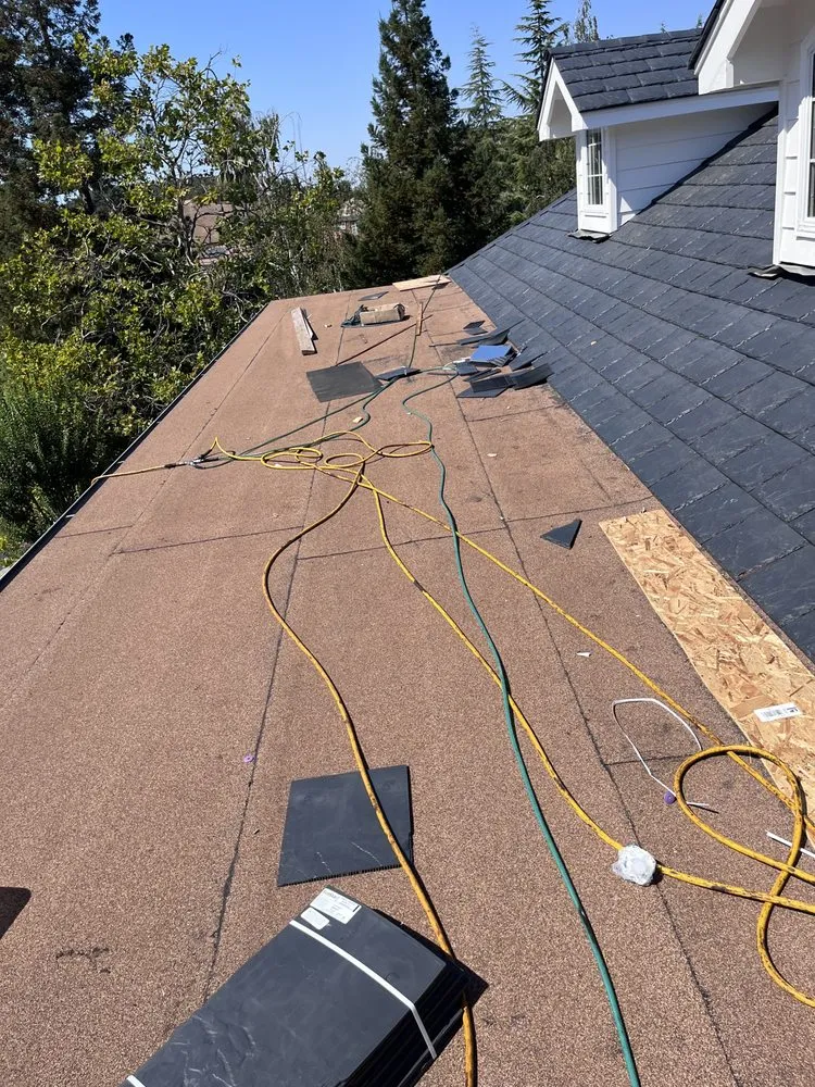 Slide of Sharks roofing