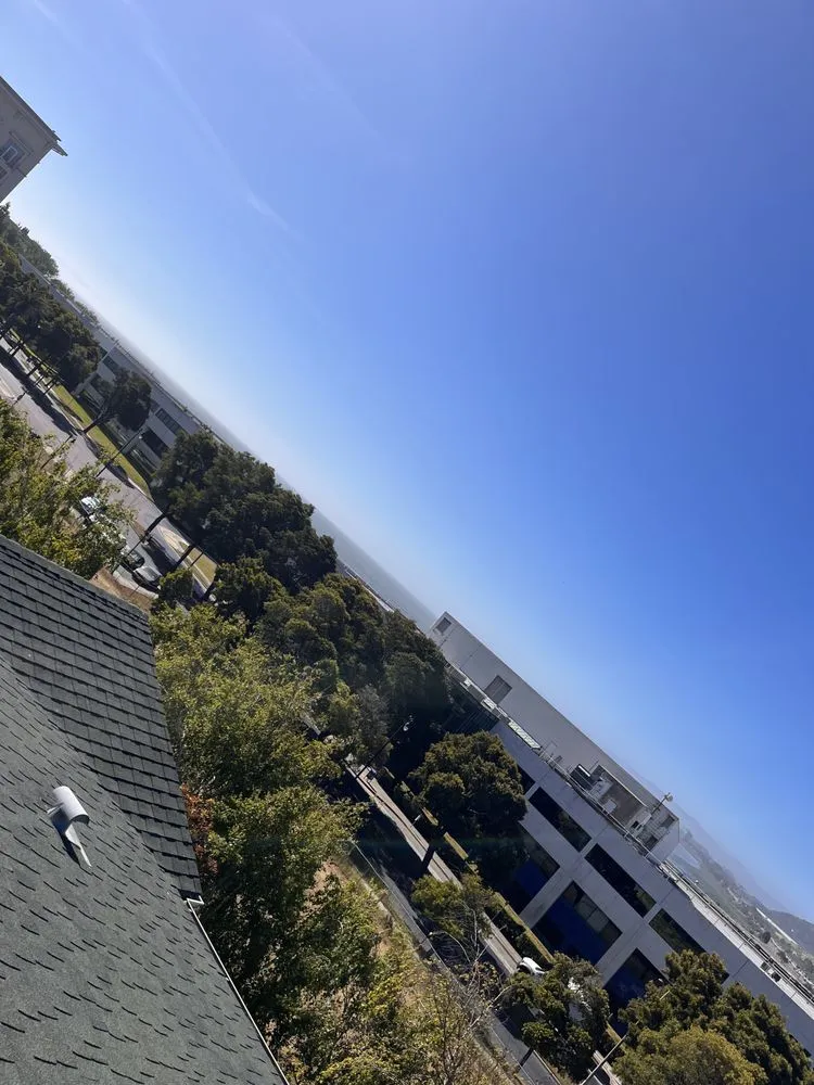 Slide of Sharks roofing