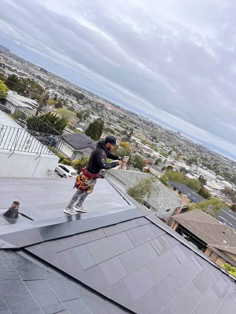 Slide of Sharks roofing