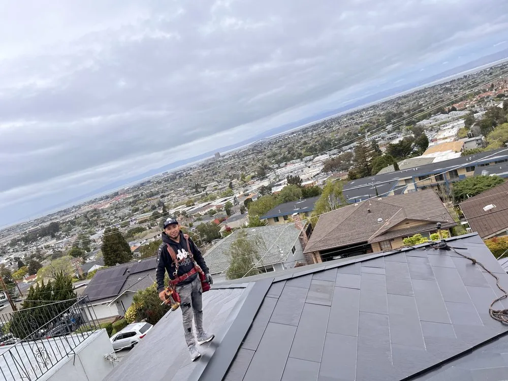 Slide of Sharks roofing