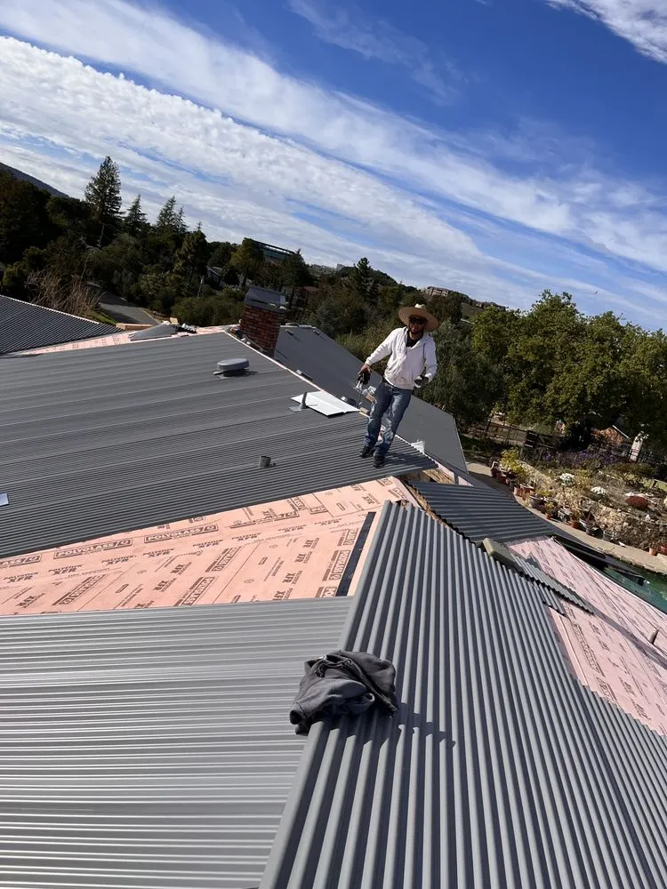 Slide of Sharks roofing