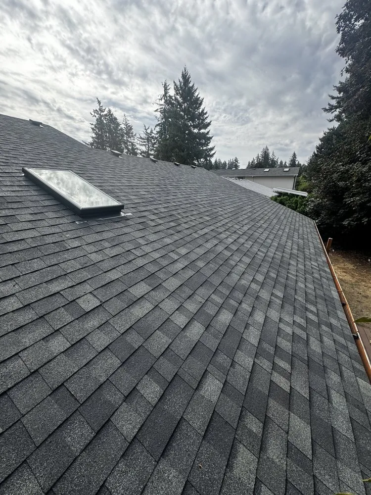 Slide of Shark's Roofing