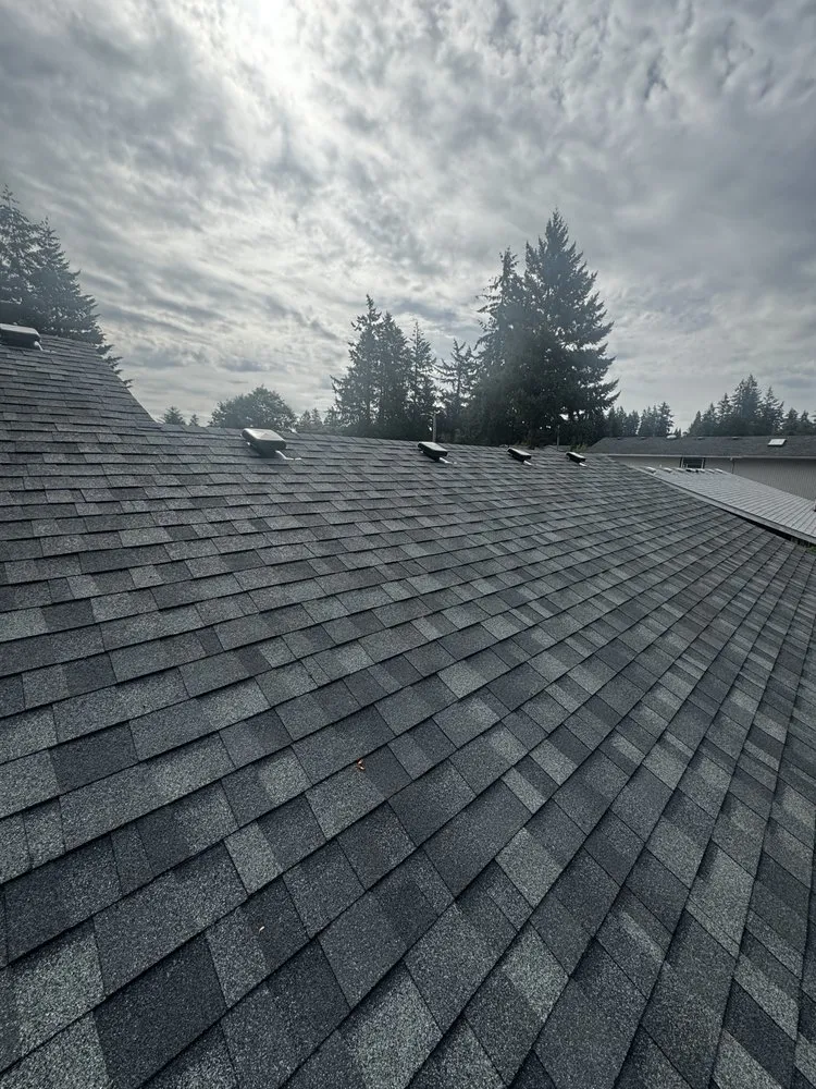 Slide of Shark's Roofing