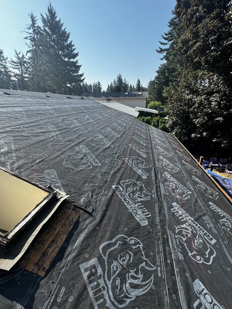 Slide of Shark's Roofing