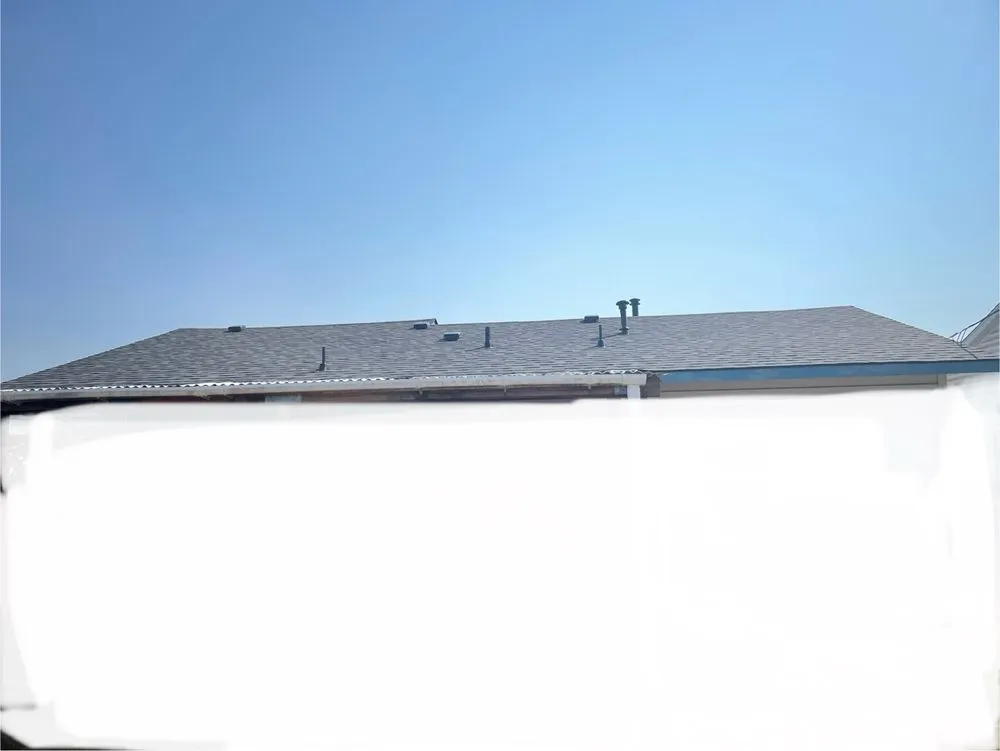 Slide of Shark's Roofing