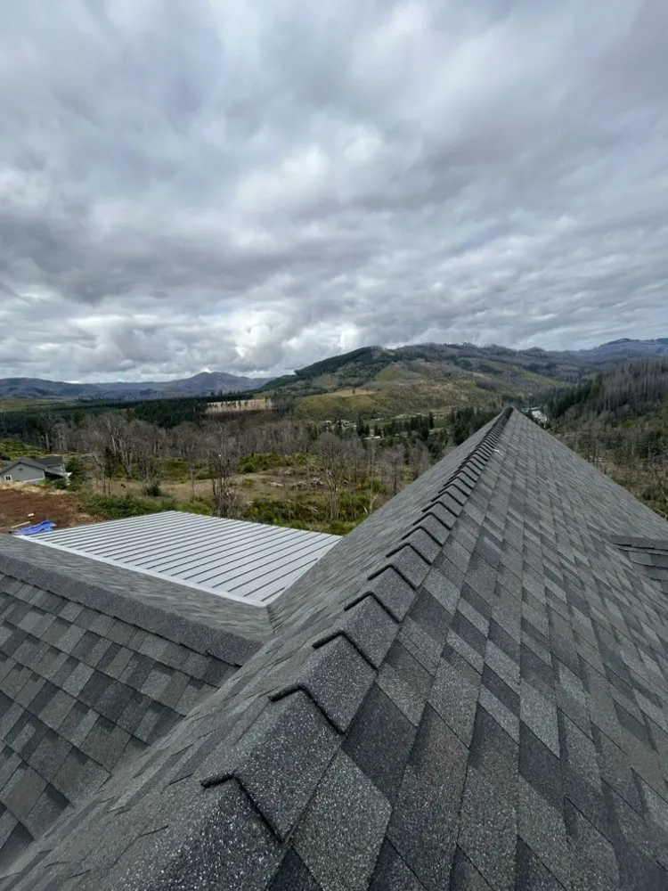 Slide of Shark's Roofing