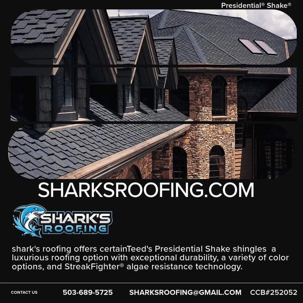 Slide of Shark's Roofing
