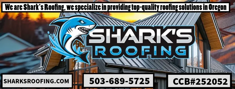 Slide of Shark's Roofing