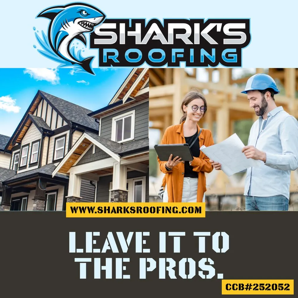 Slide of Shark's Roofing