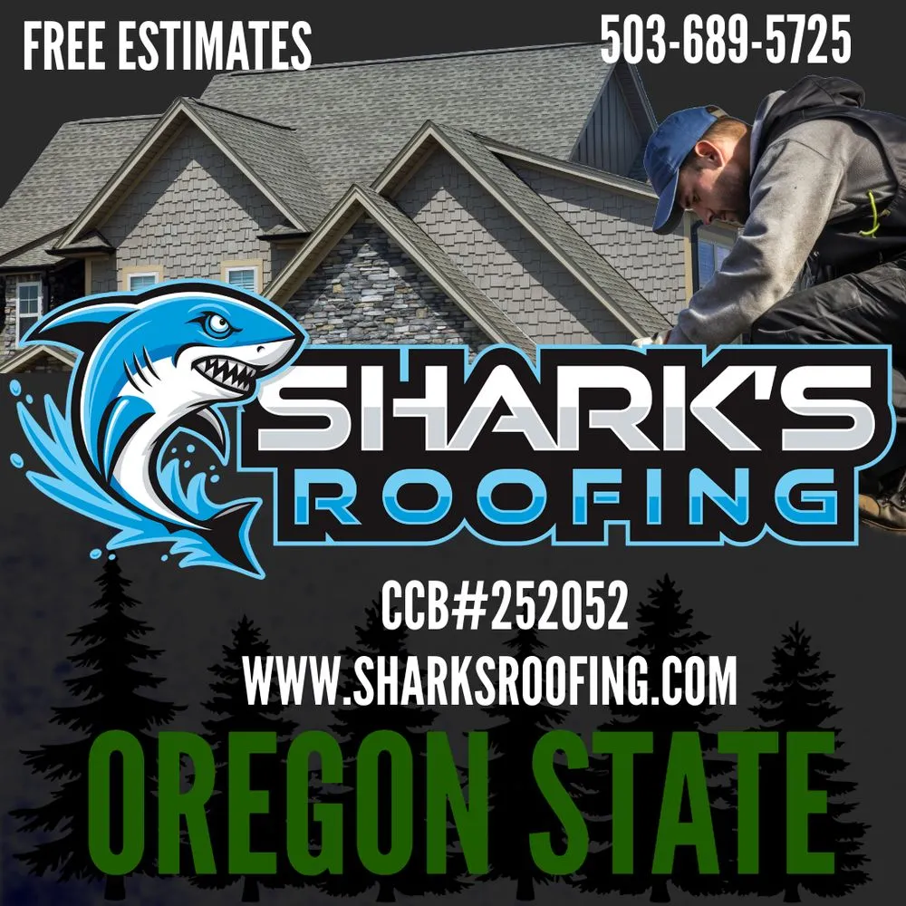 Slide of Shark's Roofing