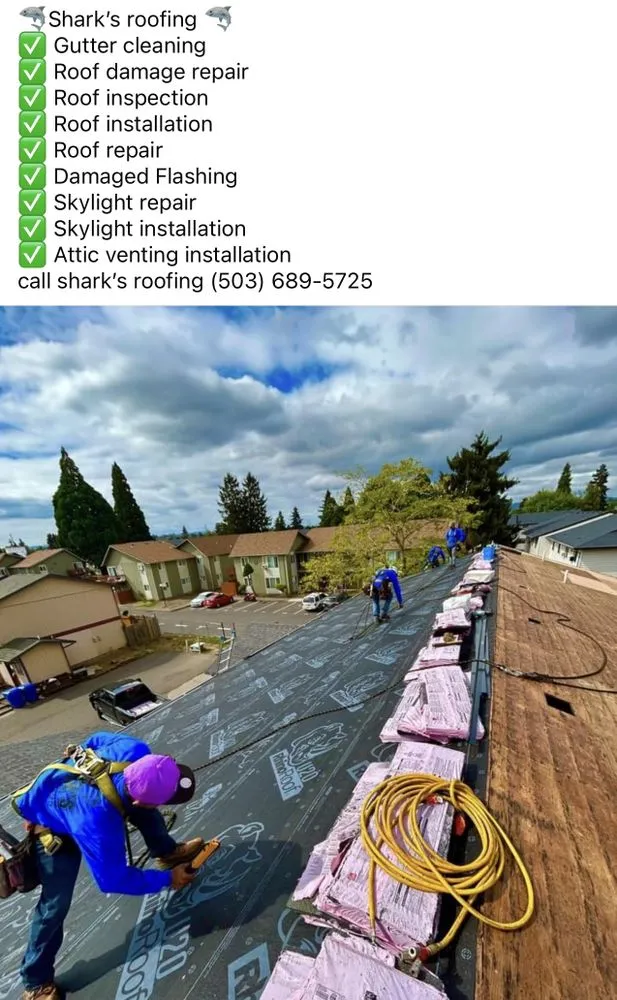 Slide of Shark's Roofing