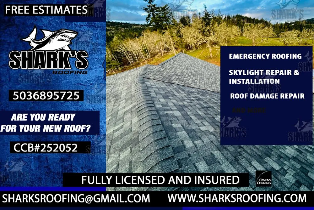 Slide of Shark's Roofing