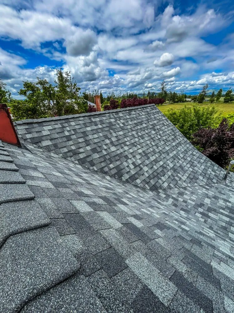 Slide of Shark's Roofing