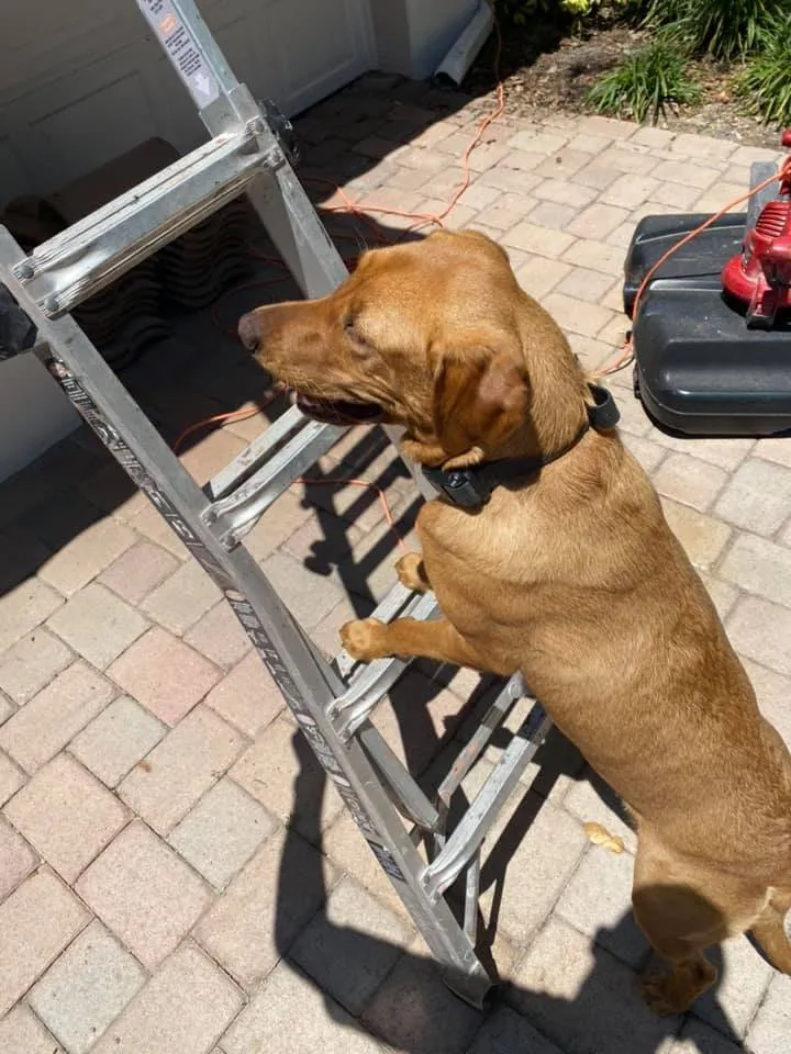 Slide of Sharpe Roofing