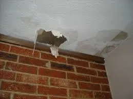 Slide of Shaughnessy Roofing