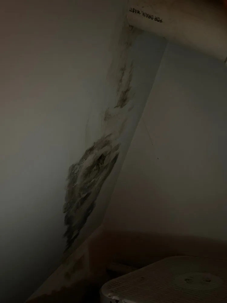 Slide of Shaul Roofing