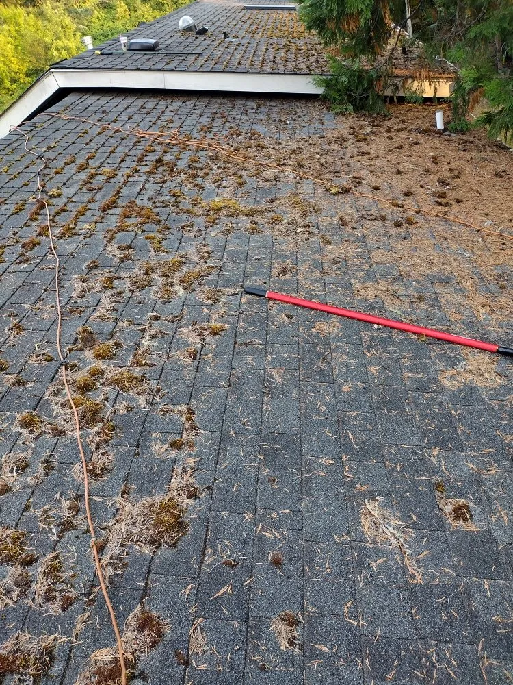 Trusted storm damage roof repair experts serving Oakland, OR - Shaw Exterior Solutions