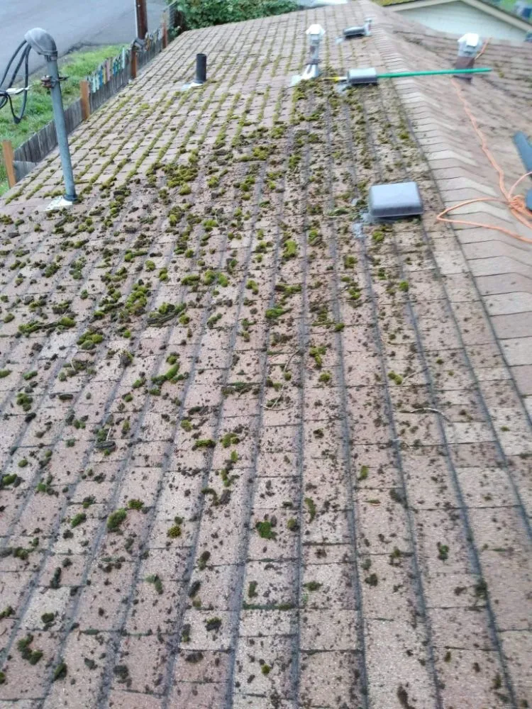 Local roof replacement after storm damage in Oakland, OR by Shaw Exterior Solutions