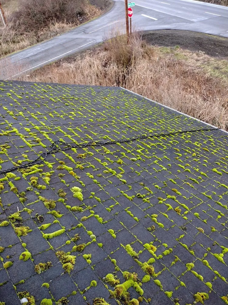 Expert storm damage roof repair in Oakland, OR - Shaw Exterior Solutions