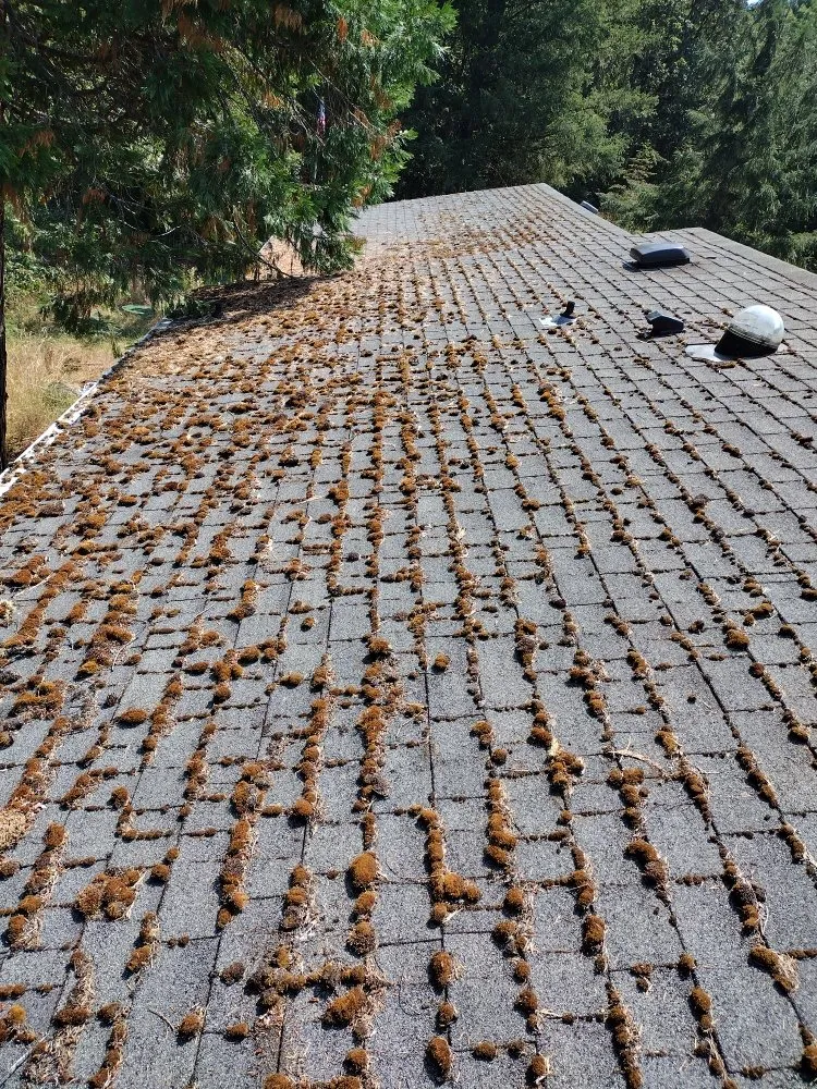 Local flat roof repair experts serving Oakland, OR - Shaw Exterior Solutions