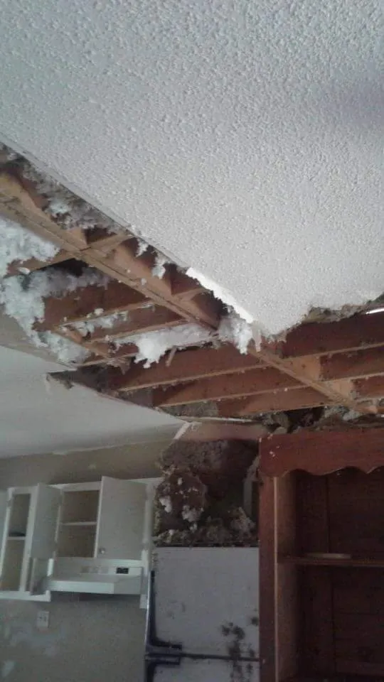Reliable shingle roofing service in Michie, TN by Shawn Scott Home Repairs