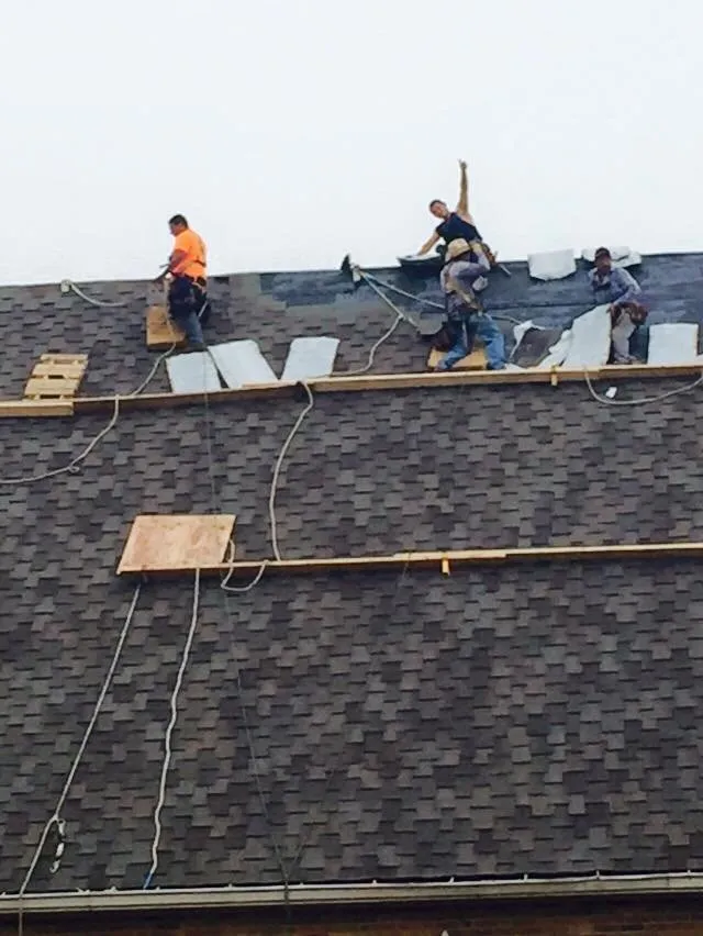 Slide of She Shingles