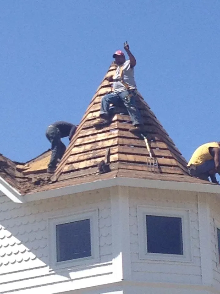 Slide of She Shingles