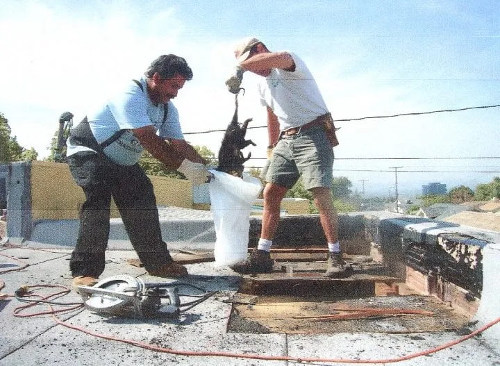Top-rated flat roof repair in Sun Valley, CA - Shea Roofing