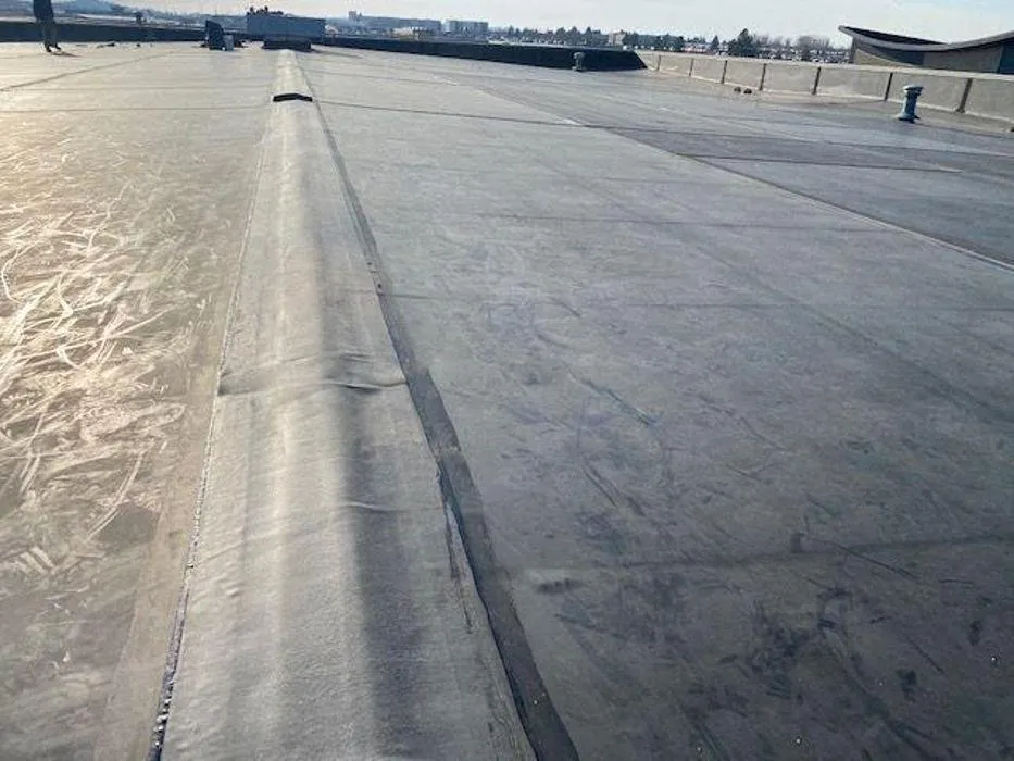 Slide of Shelby Services