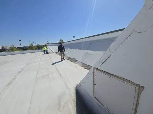 Shelby Services Logo