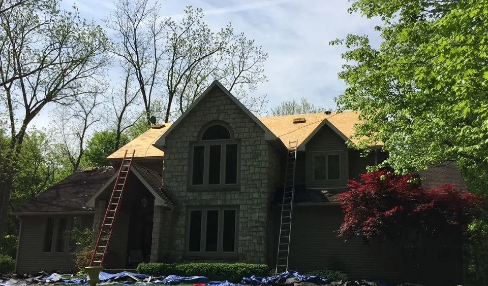 Slide of Shell Restoration