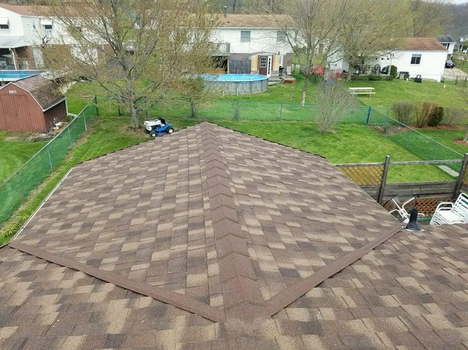 Slide of Shell Restoration