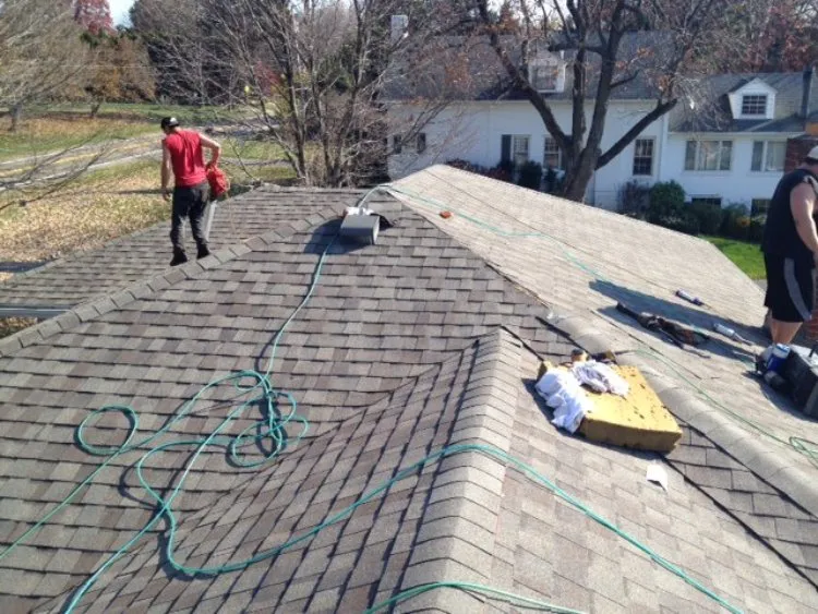 Slide of Shell Restoration