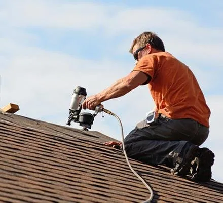 Slide of Shell Restoration