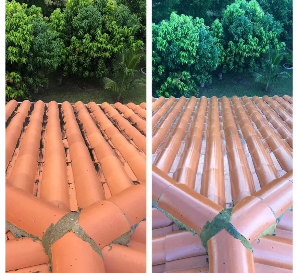 Slide of ShellBack SoftWash