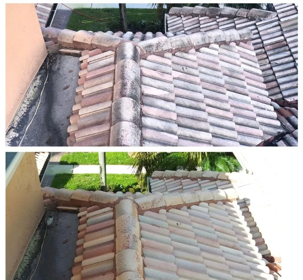 Slide of ShellBack SoftWash