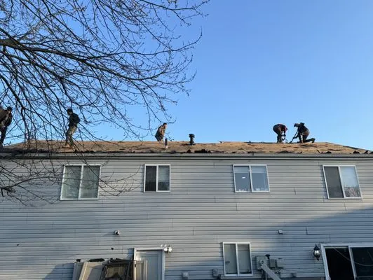 Shelter King Roofing