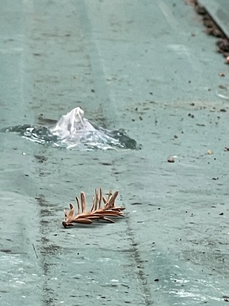 Slide of Shelton Roofing