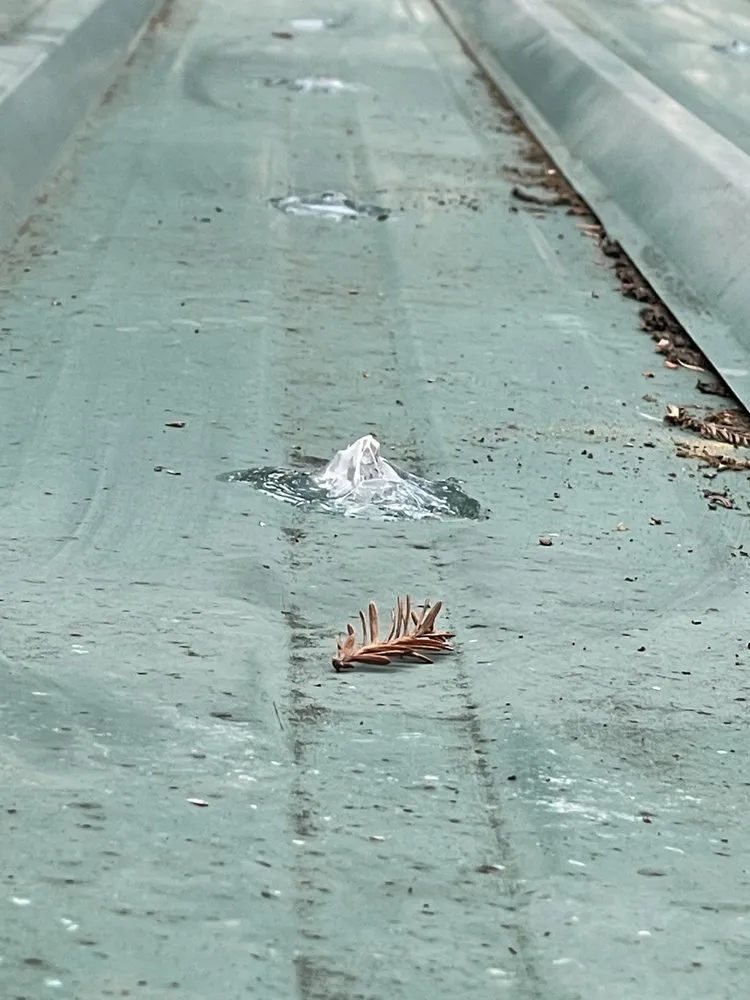 Slide of Shelton Roofing