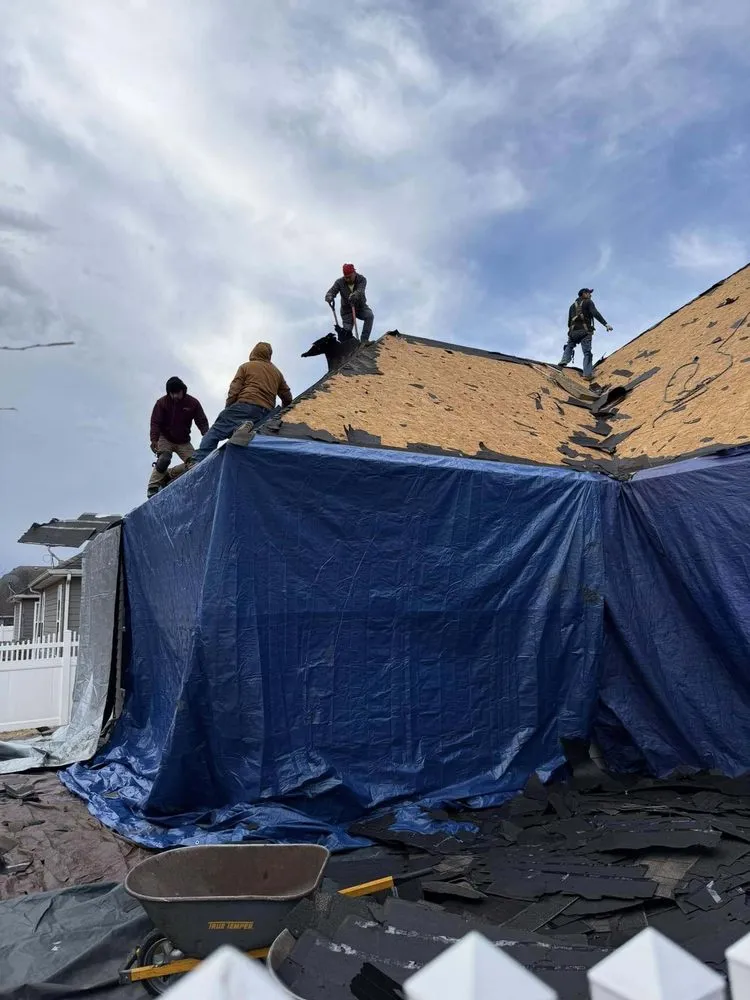 Slide of Shenberg Construction