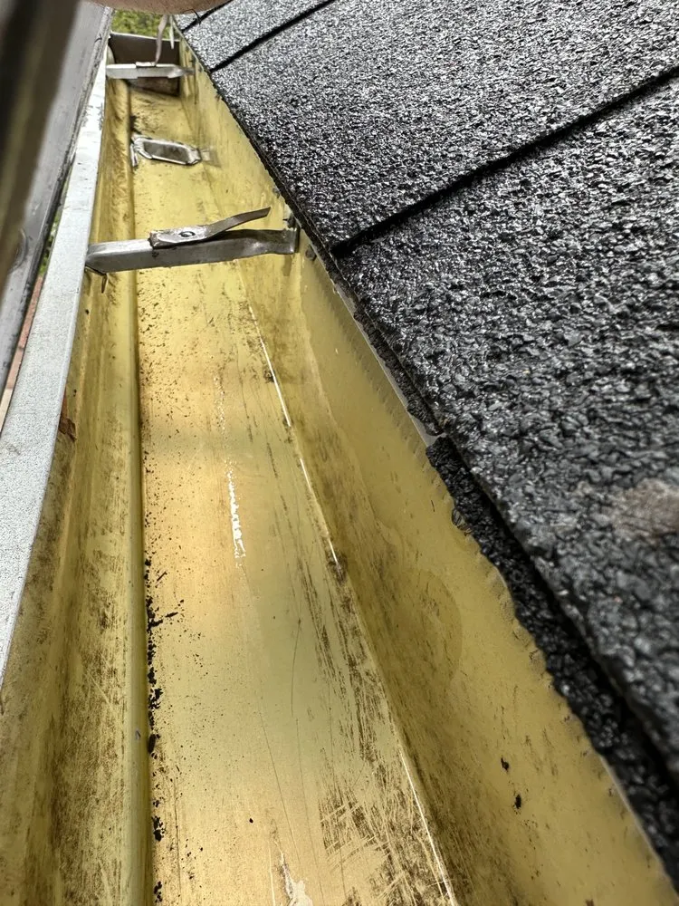 Slide of Sheppards Total Exteriors