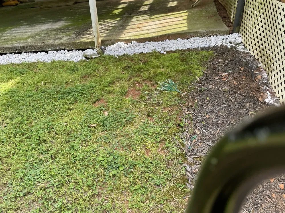 Slide of Shepp's Residential and Commercial Maintenance Repairs