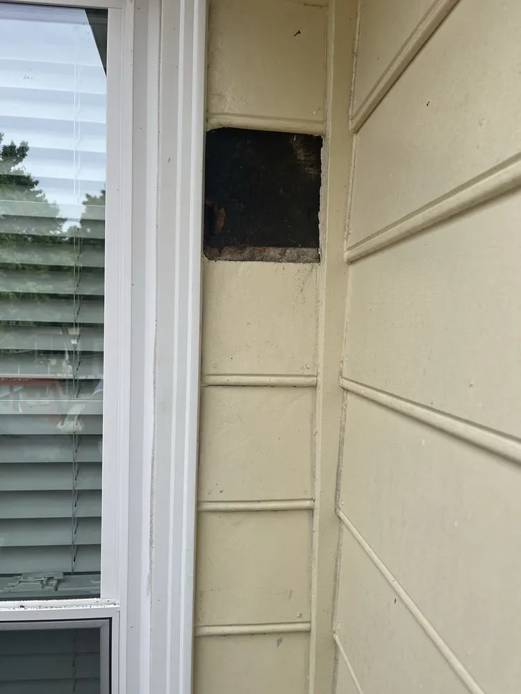 Slide of Shepp's Residential and Commercial Maintenance Repairs