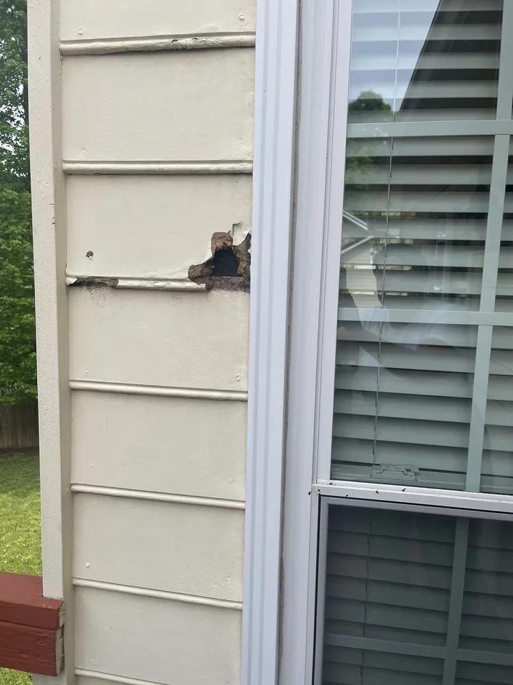 Slide of Shepp's Residential and Commercial Maintenance Repairs