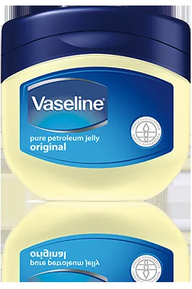 Slide of SHI Enterprises