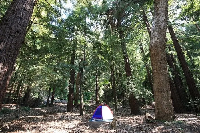 Slide of Shield Masonry & Roofing