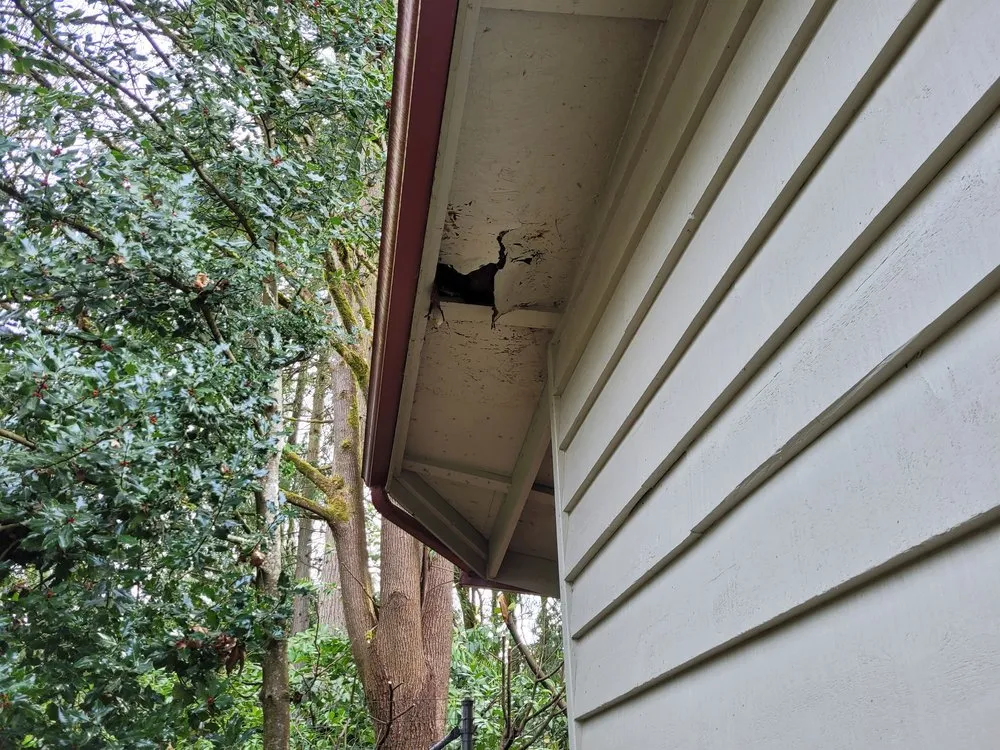 Slide of ShieldPro Roofing