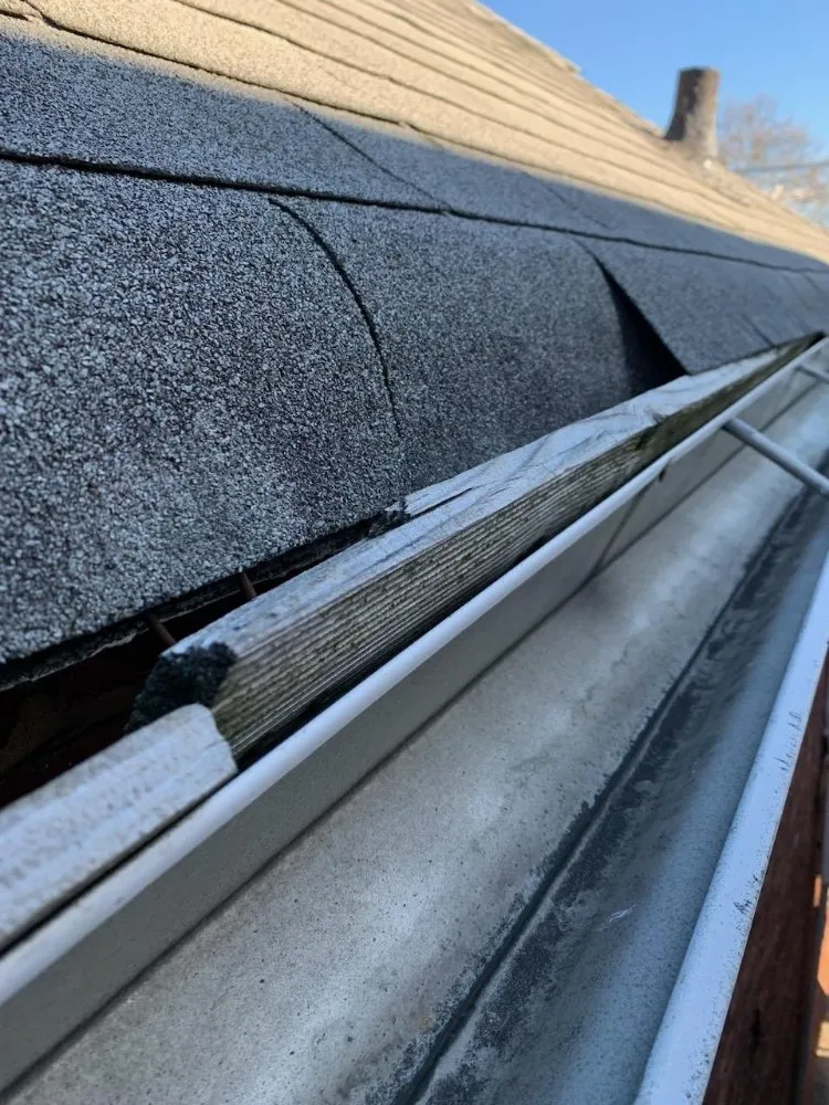 Reliable roof inspection in South Richmond Hill, NY - Shine Gutter Cleaning And Repair