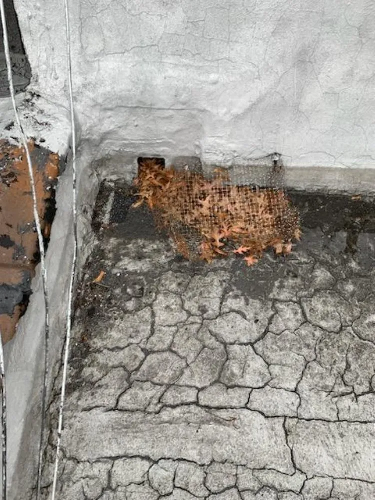 Licensed residential roofing service for fast service across South Richmond Hill, NY - Shine Gutter Cleaning And Repair