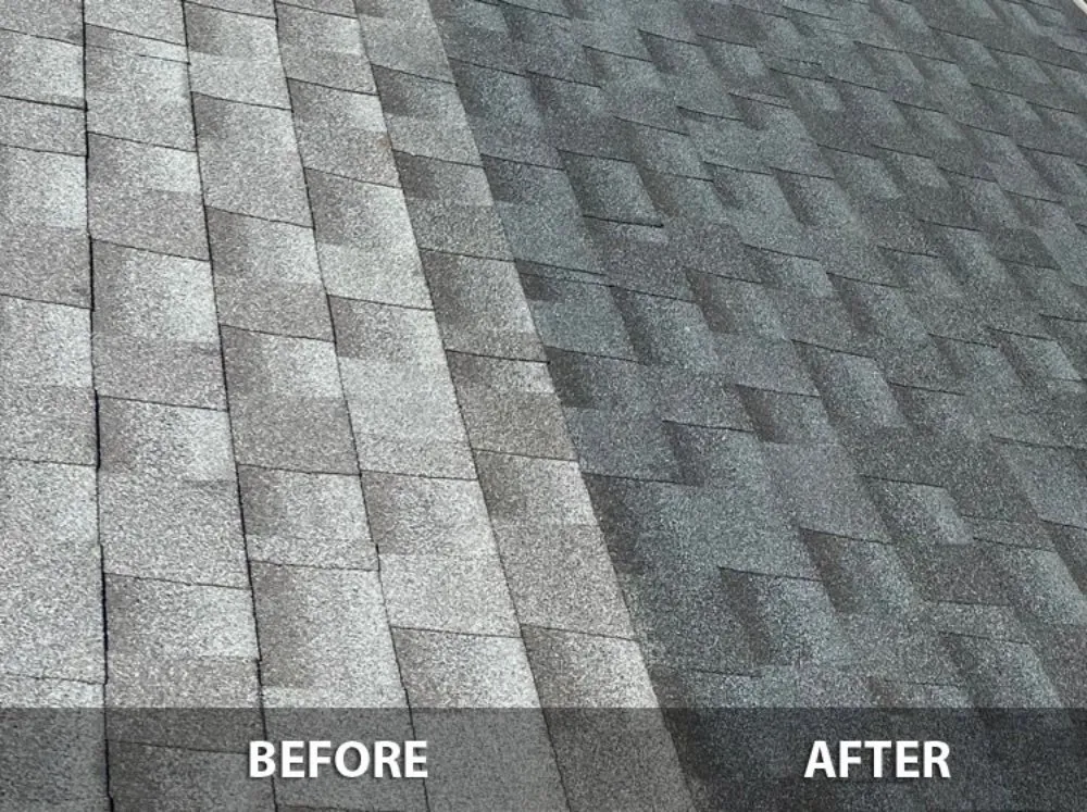 Slide of Shingle Guard